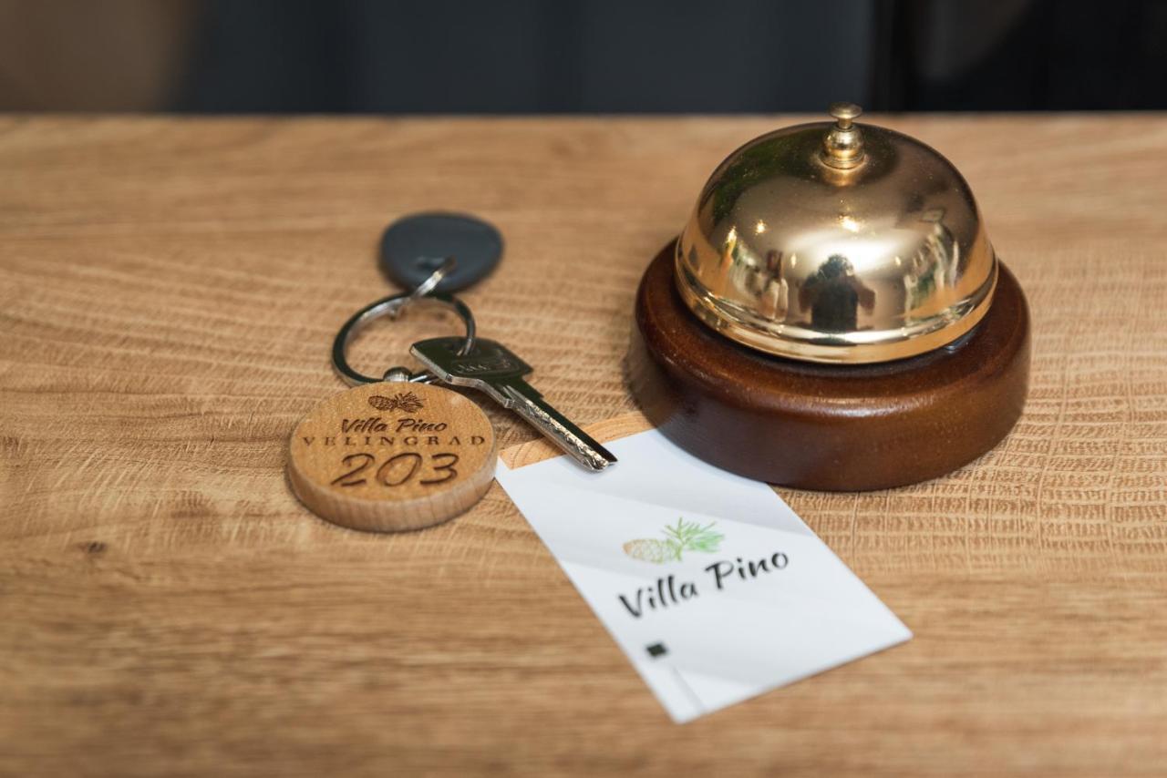 Villa Pino فيلينغراد المظهر الخارجي الصورة