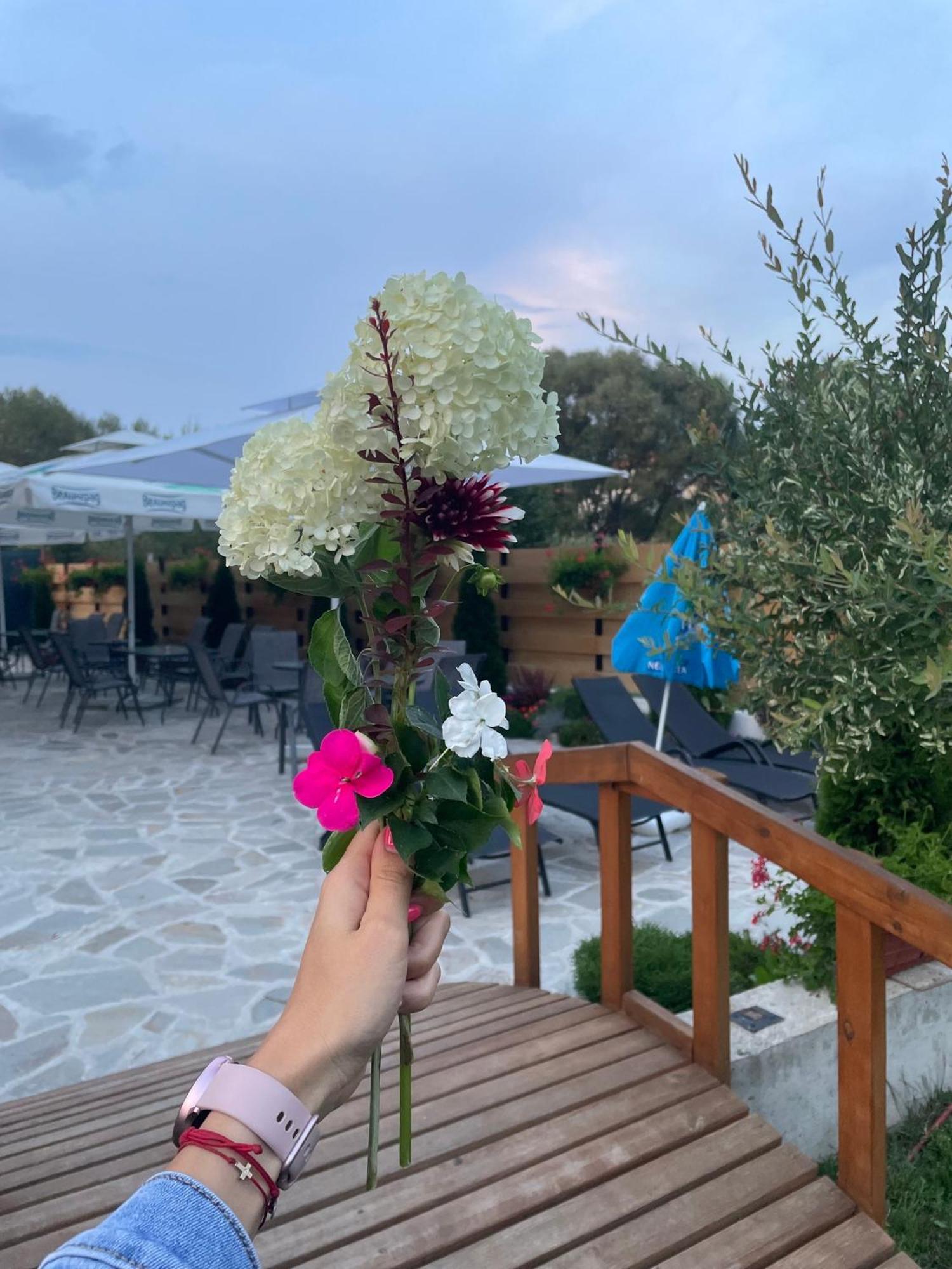 Villa Pino فيلينغراد المظهر الخارجي الصورة