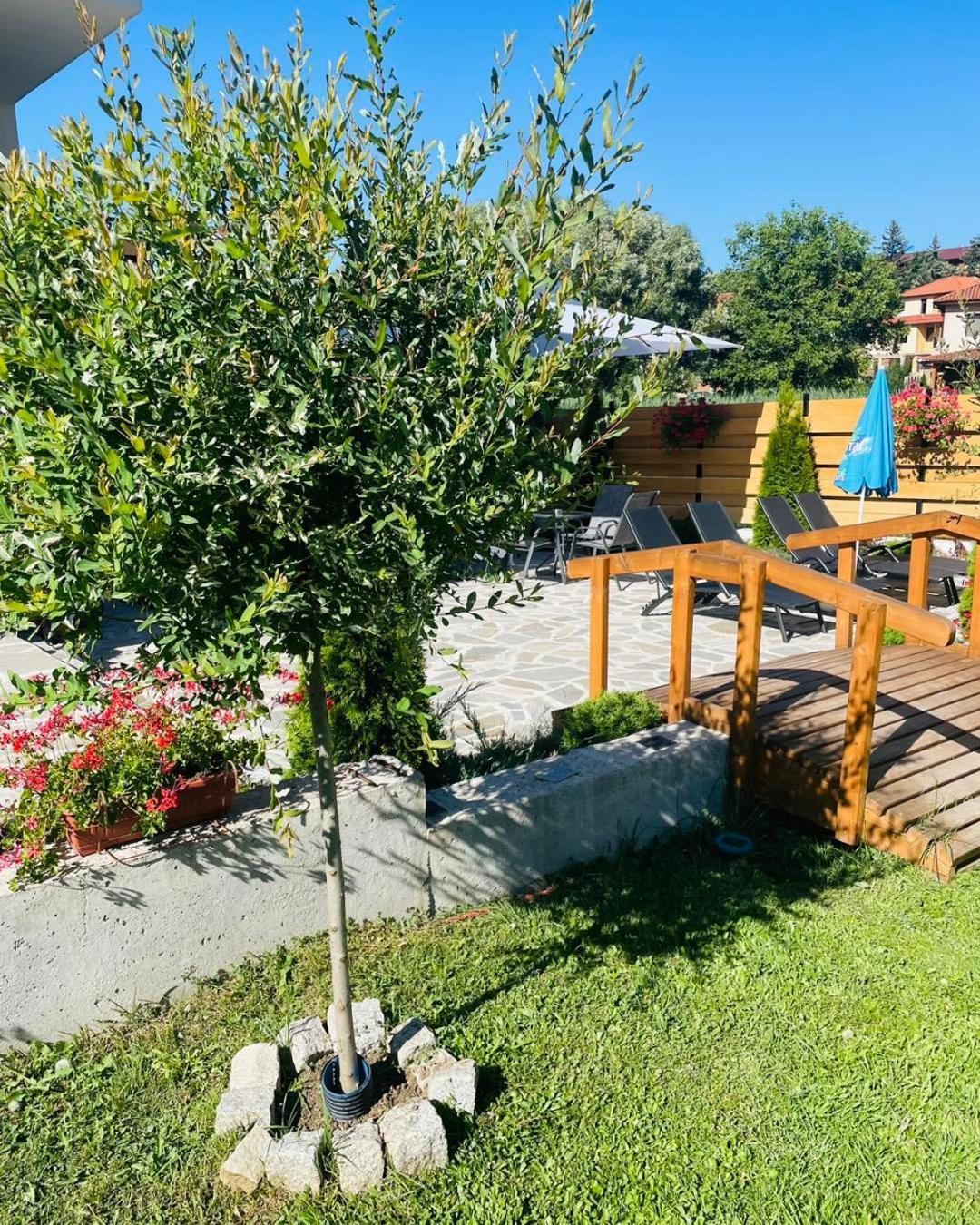 Villa Pino فيلينغراد المظهر الخارجي الصورة