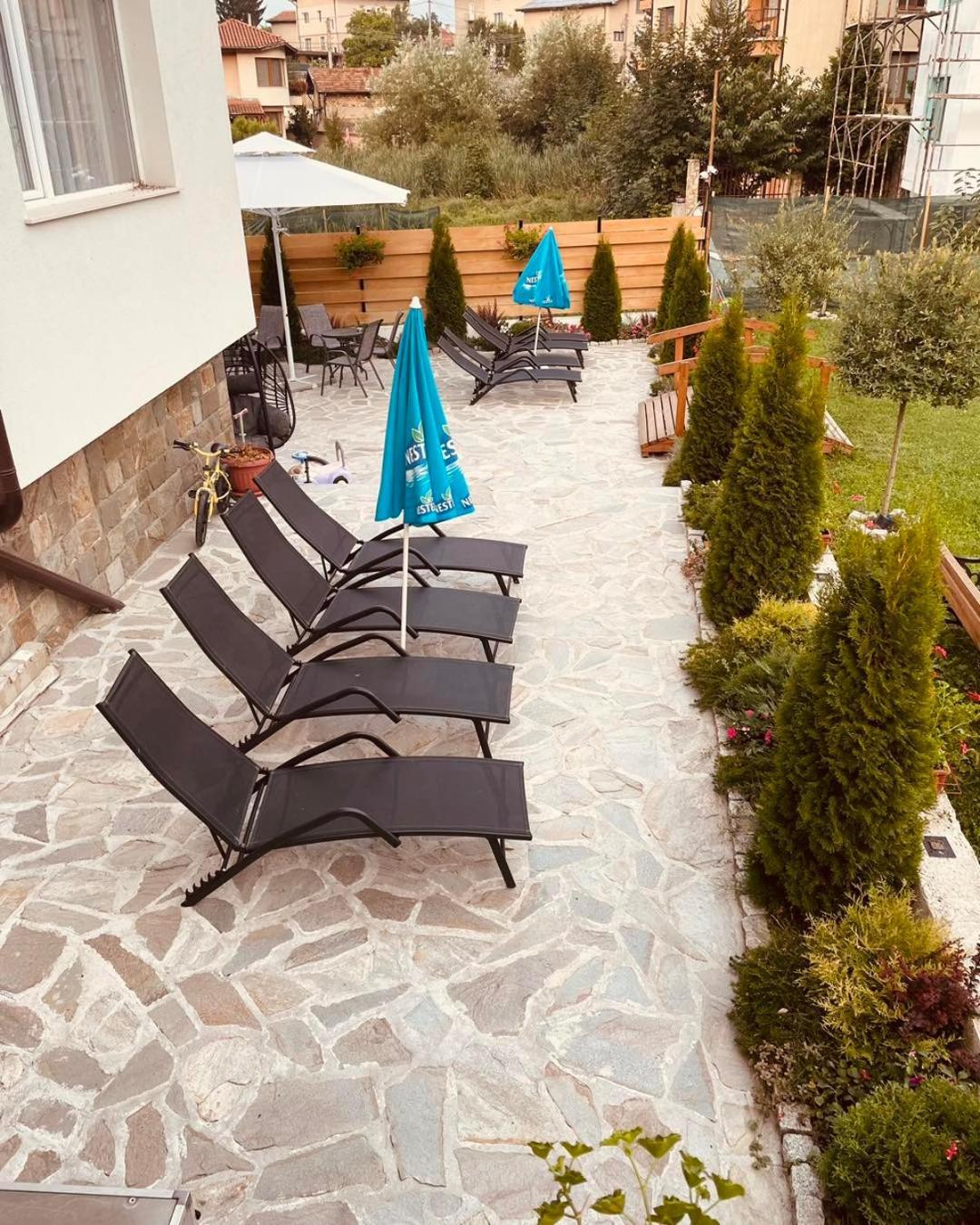 Villa Pino فيلينغراد المظهر الخارجي الصورة